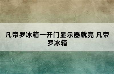 凡帝罗冰箱一开门显示器就亮 凡帝罗冰箱